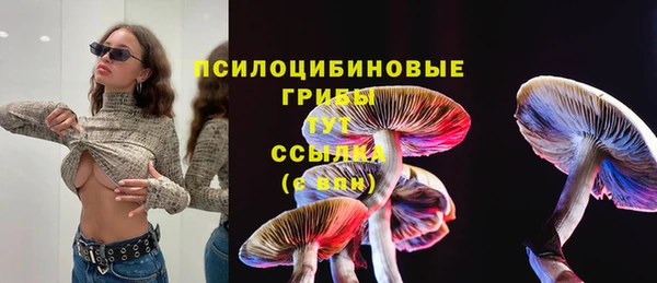 а пвп мука Абдулино